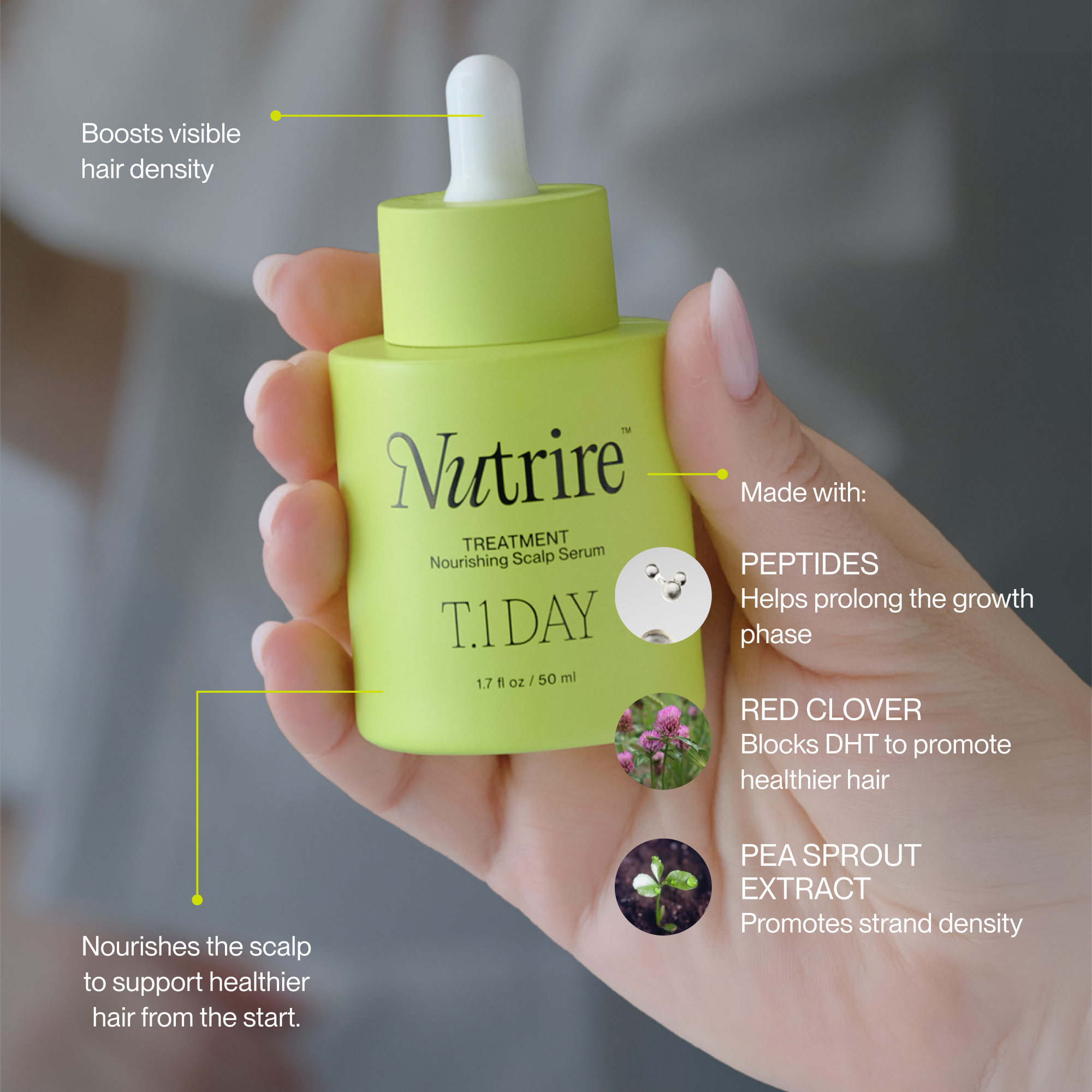 T.1 Day from Nutrire