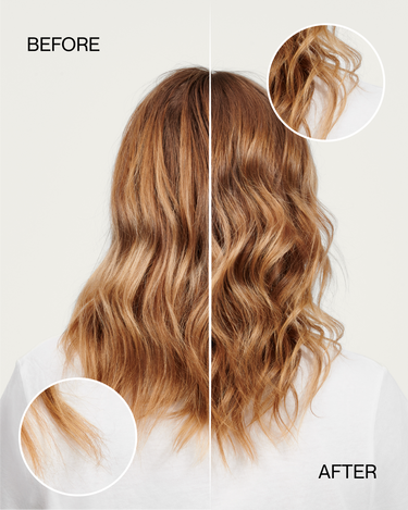 C.1 DENSIFY by Nutrire