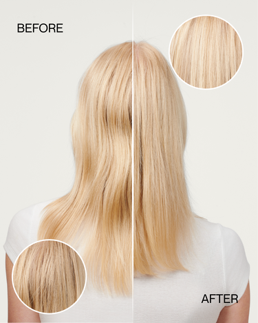C.1 DENSIFY by Nutrire
