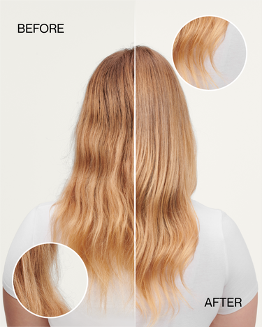 C.4 REPAIR by Nutrire