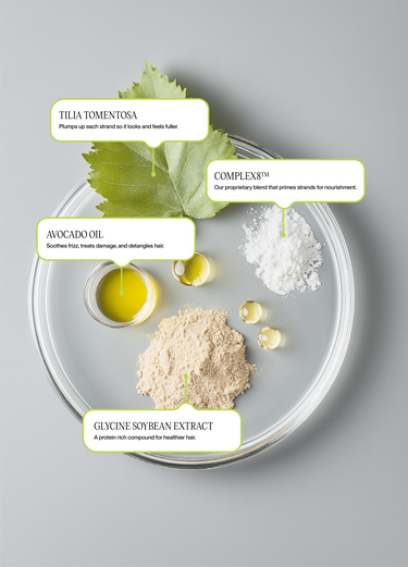 C.1 DENSIFY by Nutrire