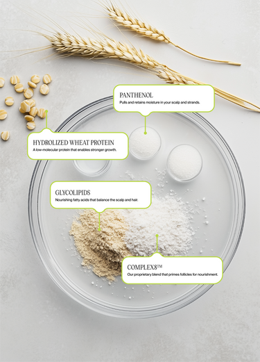 S.2 RENEW by Nutrire